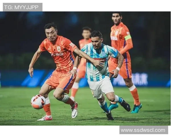 北京排球队以76分领跑精英赛积分榜展现强大实力